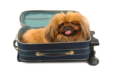 Finding the Sweet Spot in Corporate Travel